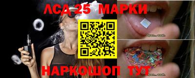стаф Будённовск