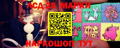 стаф Будённовск
